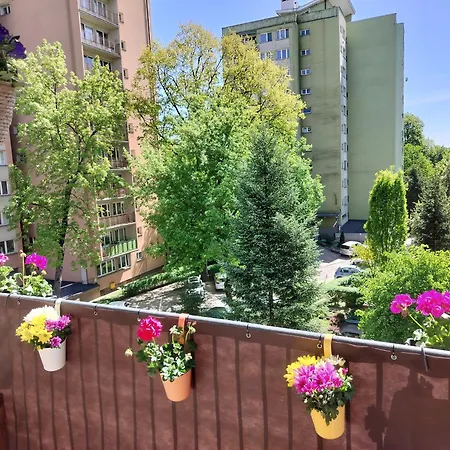 Cosy Zwyciezcow Saska Kepa *