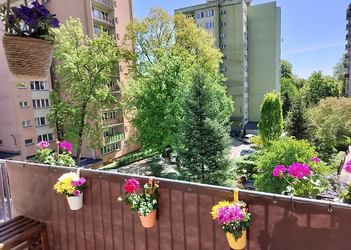 Cosy Zwyciezcow Saska Kepa *